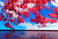P12 full color DIP led display board